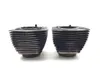 Front Rear Cylinder Jugs w Pistons 2007 Harley-Davidson Road Glide FLTR 3193 x