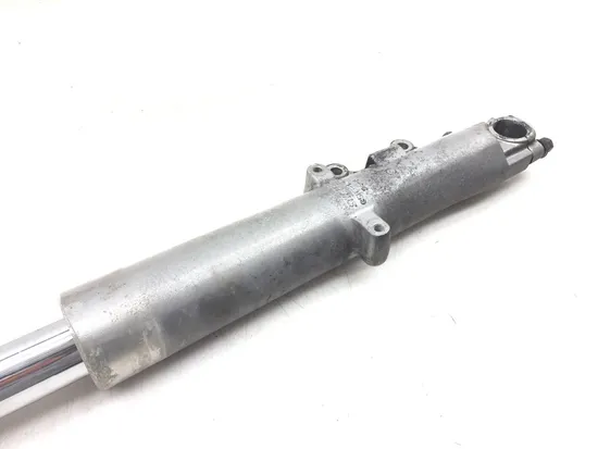 Front Forks Tubes Legs 2007 Harley-Davidson Road Glide FLTR 3193 x