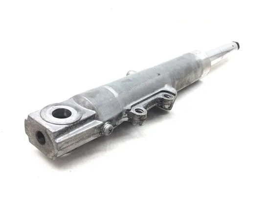 Front Forks Tubes Legs 2007 Harley-Davidson Road Glide FLTR 3193 x