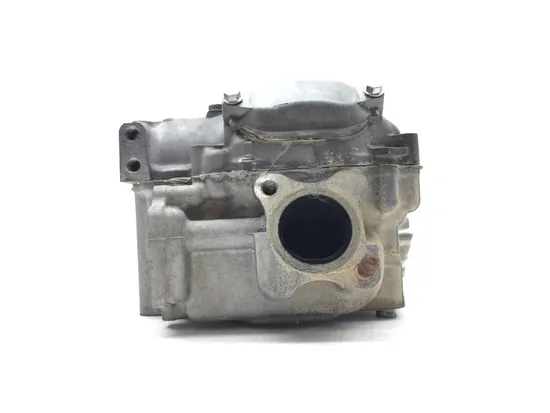 Engine Cylinder Head Complete W Valves Rear 2019 Kawasaki Teryx4 800 LE 3208