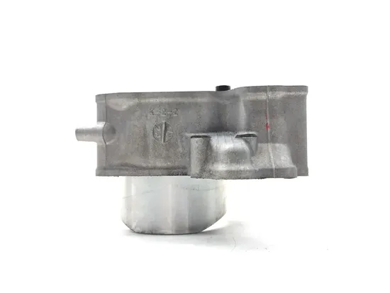 Engine Cylinder Jug W Piston Rear 2019 Kawasaki Teryx4 800 KRT800 LE 3208 x