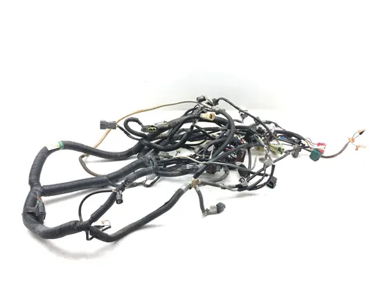 Main Engine Wiring Harness 2019 Kawasaki Teryx4 800 KRT800 LE 3208