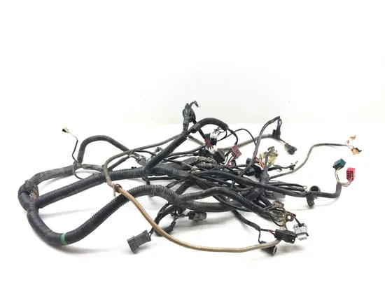 Main Engine Wiring Harness 2019 Kawasaki Teryx4 800 KRT800 LE 3208