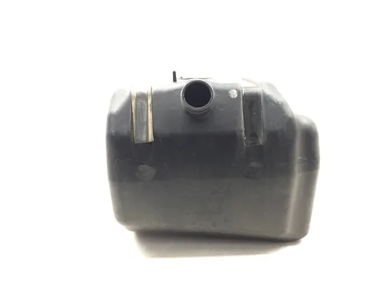 Gas Fuel Tank 2019 Kawasaki Teryx4 800 KRT800 LE 3208