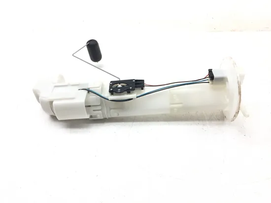 Gas Fuel Tank Pump 2019 Kawasaki Teryx4 800 KRT800 LE 3208