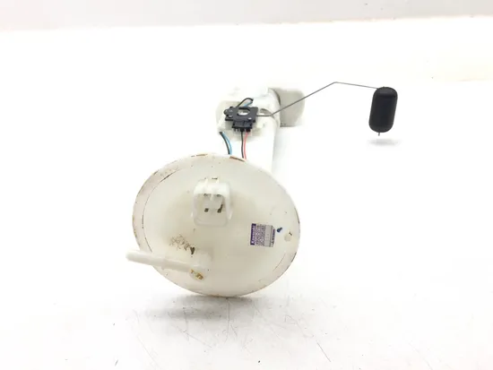 Gas Fuel Tank Pump 2019 Kawasaki Teryx4 800 KRT800 LE 3208