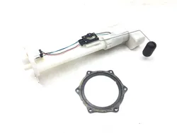 Gas Fuel Tank Pump 2019 Kawasaki Teryx4 800 KRT800 LE 3208