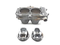 Engine Cylinder Jug W Piston 2014 Polaris Ranger XP 900 3209