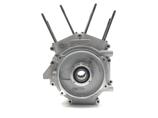 Engine Left Right Center Cases 2003 Harley-Davidson Electra Glide FLHTI 3205 x