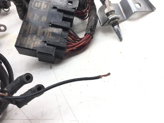 Main Engine Wiring Harness 2003 Harley-Davidson Electra Glide EFI FLHTI 3205 x