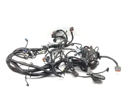 Main Engine Wiring Harness 2003 Harley-Davidson Electra Glide EFI FLHTI 3205 x