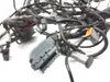 Main Engine Wiring Harness 2003 Harley-Davidson Electra Glide EFI FLHTI 3205 x
