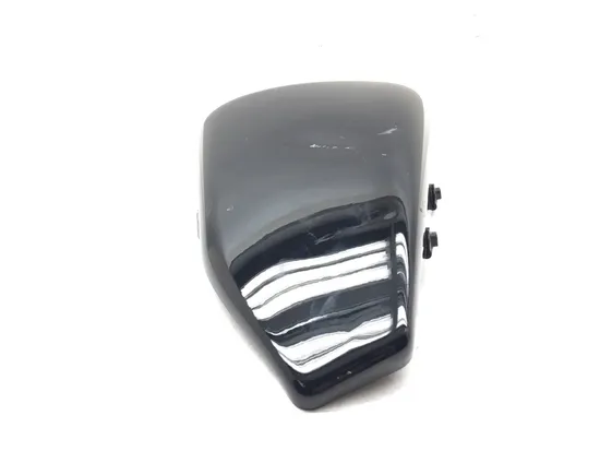 Left Side Cover 2018 Harley-Davidson Sportster 883 Super Low XL883L 3201 x