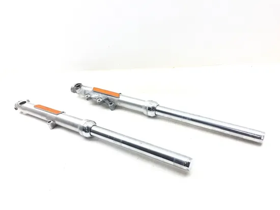 Front Forks Tubes Legs 2018 Harley-Davidson Sportster 883 Super Low XL883L 3201x