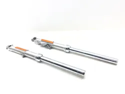 Front Forks Tubes Legs 2018 Harley-Davidson Sportster 883 Super Low XL883L 3201x