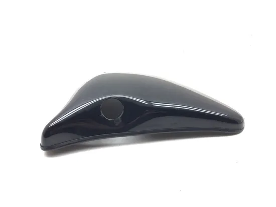 Right Side Cover 2001 Harley-Davidson Sportster 1200 Sport XLH1200S 3202 x