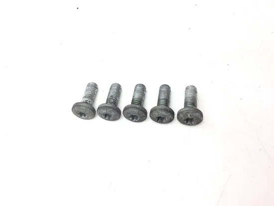 Rear Brake Rotor Disc Bolts 2004 Harley-Davidson Electra Glide EFI FLHTI 3199