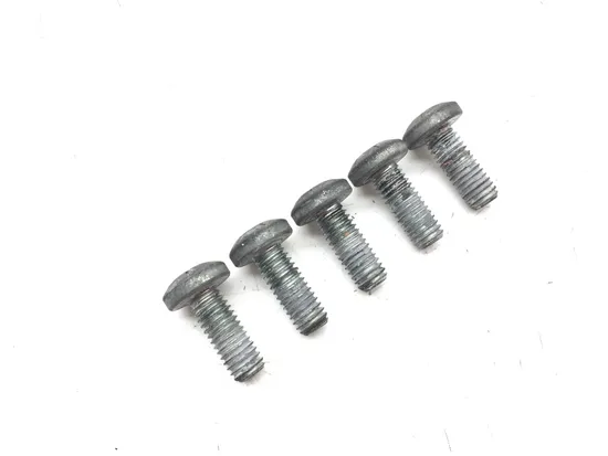 Rear Brake Rotor Disc Bolts 2004 Harley-Davidson Electra Glide EFI FLHTI 3199