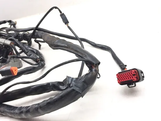 Main Engine Wiring Harness 2004 Harley-Davidson Electra Glide EFI FLHTI 3199 9