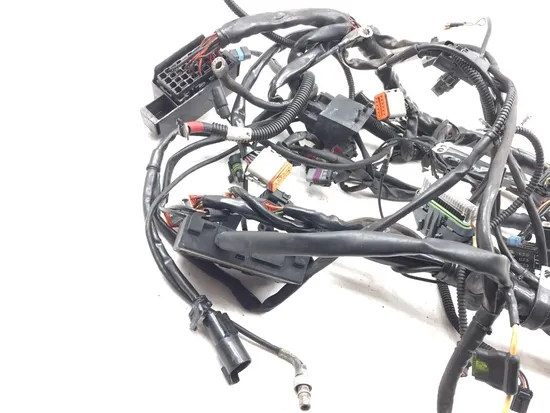 Main Engine Wiring Harness 2004 Harley-Davidson Electra Glide EFI FLHTI 3199 2