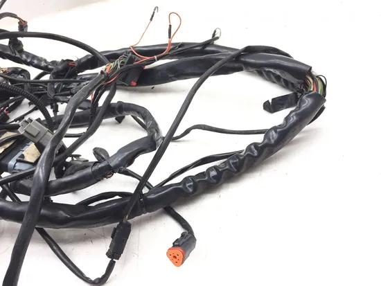 Main Engine Wiring Harness 2004 Harley-Davidson Electra Glide EFI FLHTI 3199 4