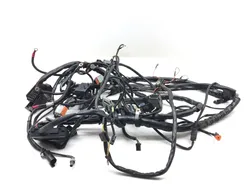 Main Engine Wiring Harness 2004 Harley-Davidson Electra Glide EFI FLHTI 3199