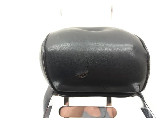 Sissy Bar 1988 Harley-Davidson Sportster 883 XLH883 3203 x