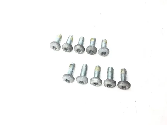 Front Brake Rotor Bolts 2010 Harley-Davidson Road King Classic FLHRC 3200