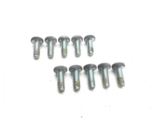 Front Brake Rotor Bolts 2010 Harley-Davidson Road King Classic FLHRC 3200