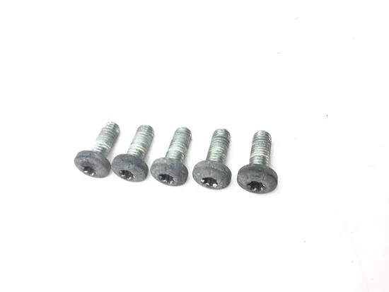 Rear Brake Rotor Disc Bolts 2010 Harley-Davidson Road King Classic FLHRC 3200