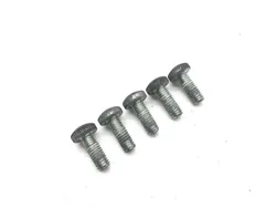 Rear Brake Rotor Disc Bolts 2010 Harley-Davidson Road King Classic FLHRC 3200