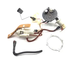 Gas Fuel Tank Pump 2010 Harley-Davidson Road King Classic FLHRC 3200