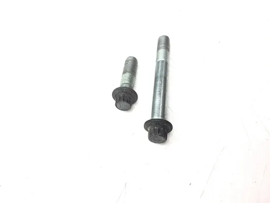 Front Brake Caliper Mounting Bolts 2003 Harley Sportster 883 Hugger XLH883 3206