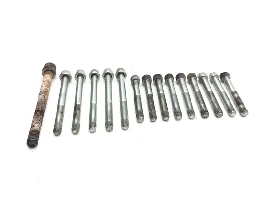 Engine Left Right Center Case Bolts 2000 Buell Blast P3 3211