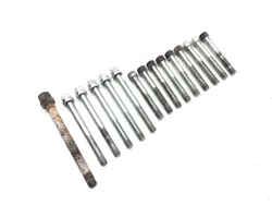 Engine Left Right Center Case Bolts 2000 Buell Blast P3 3211