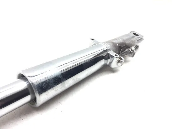 Front Forks Tubes Legs 2005 Harley-Davidson Road King Classic EFI FLHRCI 3124 x