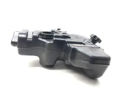 Gas Fuel Tank 2018 Polaris RZR 570 3213