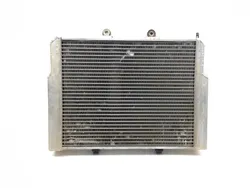Engine Radiator Cooling 2012 Polaris RZR S 800 EFI 3224 x
