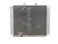 Engine Radiator Cooling 2012 Polaris RZR 800 EFI 3229 X