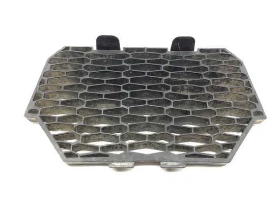 Engine Radiator Grill Guard 2018 Polaris RZR S 900 EPS 3228