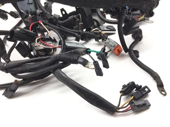 Main Engine Wiring Harness 2002 Harley-Davidson V-Rod VRSCA 3232