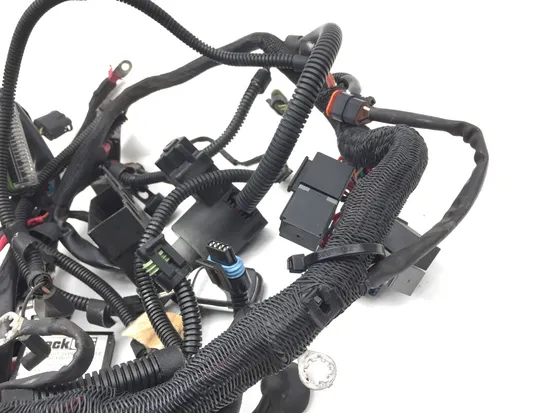 Main Engine Wiring Harness 2002 Harley-Davidson V-Rod VRSCA 3232