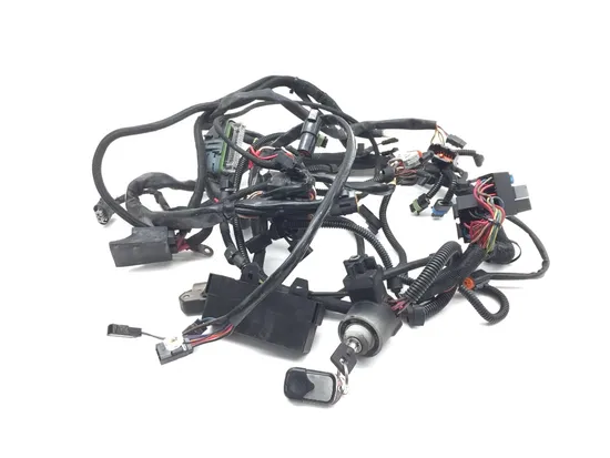 Main Engine Wiring Harness 2002 Harley-Davidson V-Rod VRSCA 3232