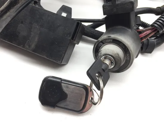 Main Engine Wiring Harness 2002 Harley-Davidson V-Rod VRSCA 3232