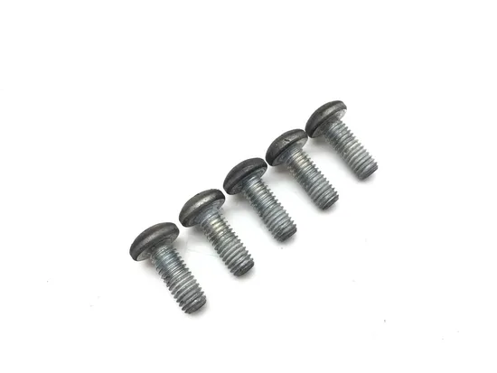 Rear Brake Rotor Disc Bolts 1999 Harley Road King Classic EFI FLHRCI 3216