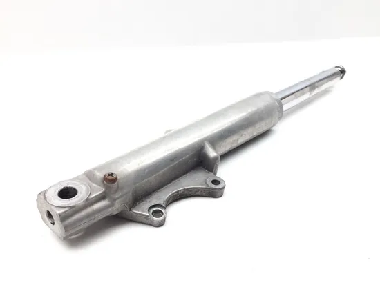 Front Forks Tubes Legs 1999 Harley-Davidson Road King Classic EFI FLHRCI 3216