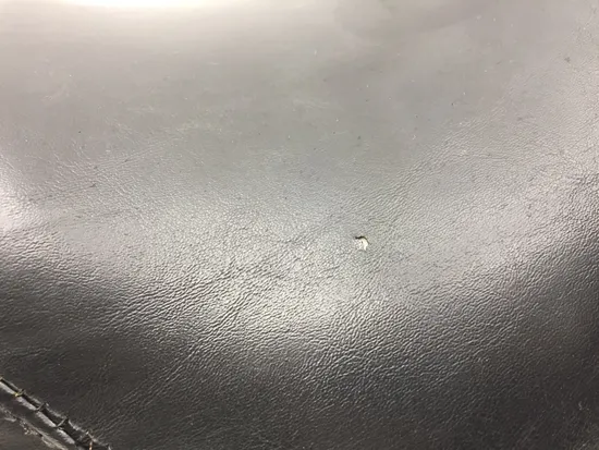 Seat 2003 Harley-Davidson Sportster 883 Hugger Anniversary XLH883 3236 x 2