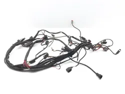 Main Engine Wiring Harness 1994 Harley Electra Glide Ultra Classic FLHTCU 3217