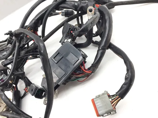 Main Engine Wiring Harness 2004 Harley-Davidson Road King Custom FLHRS 3220