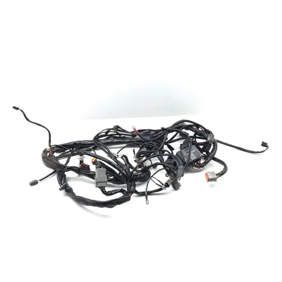 Main Engine Wiring Harness 2004 Harley-Davidson Road King Custom FLHRS 3220 5